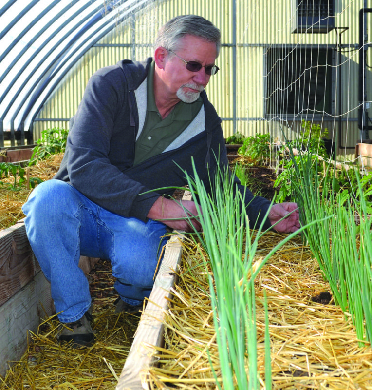 Pikes Peak Urban Gardens