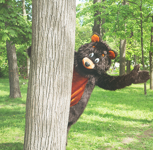 bear suit at festival